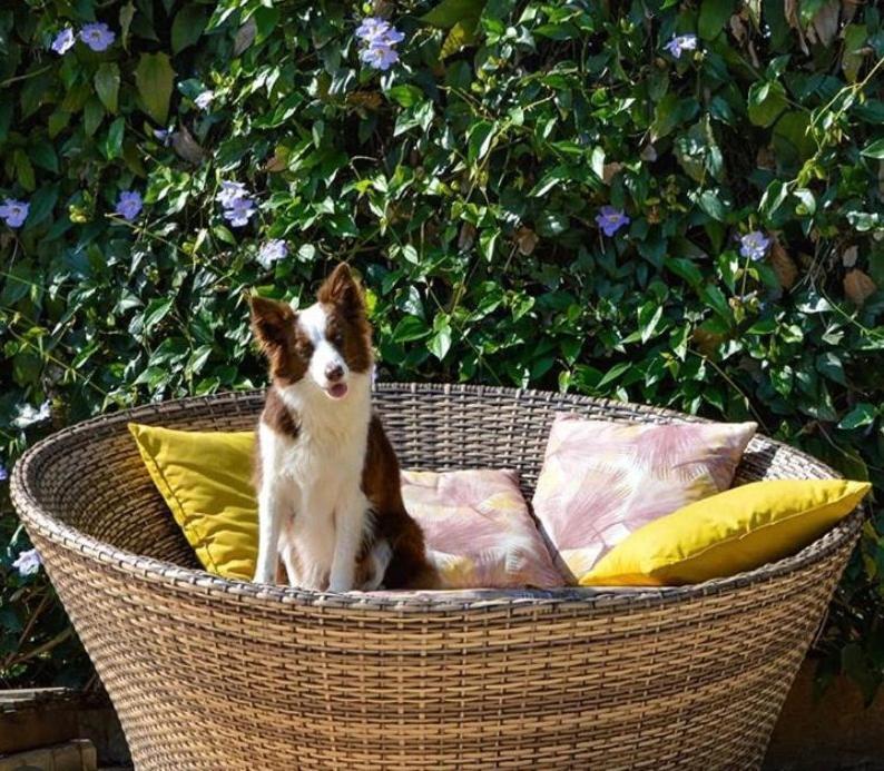 Villa Aye Pousada Boutique Petfriendly Socorro  Dış mekan fotoğraf