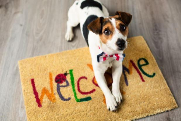 Villa Aye Pousada Boutique Petfriendly Socorro  Dış mekan fotoğraf